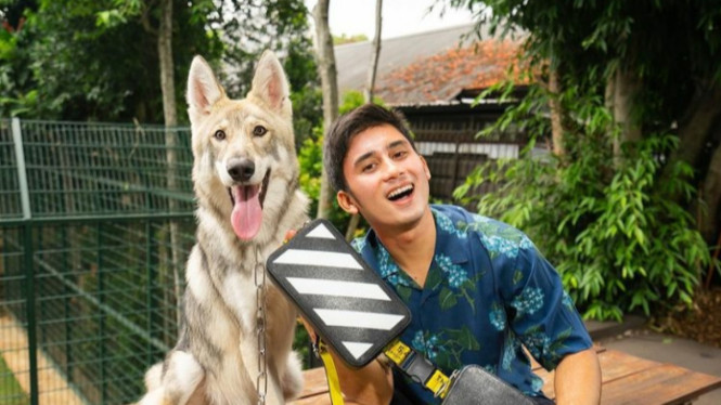 Instagram/Alshadahmad