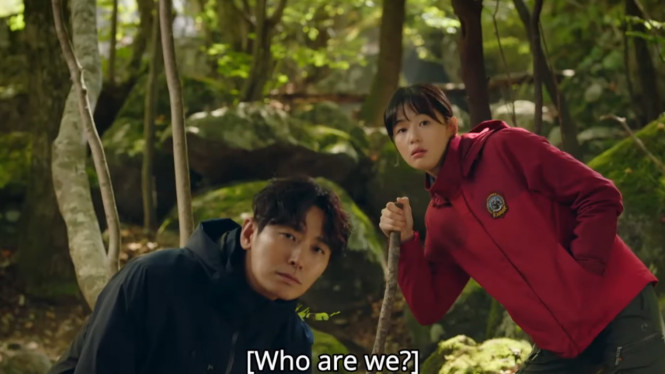 tvN Drama | iQIYI K-Drama