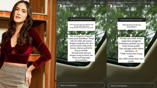 Instagram/shandyaulia