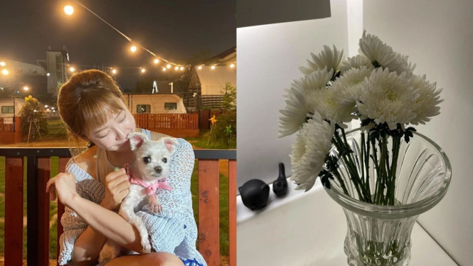 Instagram/ssossolovely