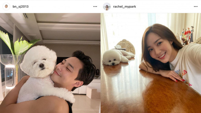 bn_sj2013/instagram | rachel_mypark/instagram