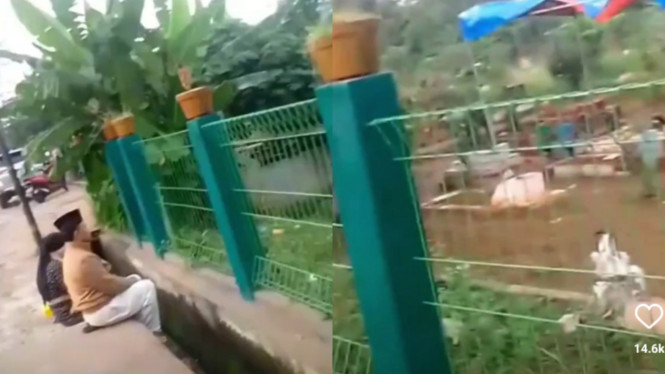 instagram/lambeturah_official