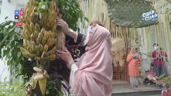 YouTube/ MOP Channel