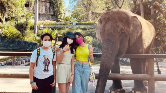 instagram/cuttaryofficial