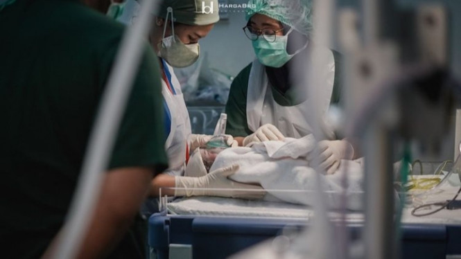 Instagram/kesharatuliu05