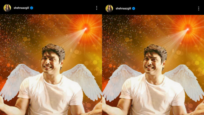 instagram/shehnaazgill