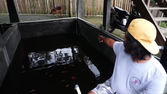 YouTube/ Dodit Mulyanto