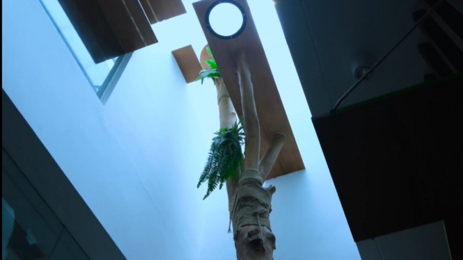 YouTube/Titi dan Tian