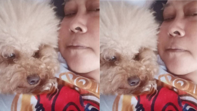 Instagram/@sutykarno