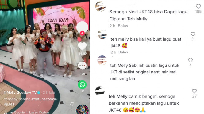 TikTok/@mellygoeslawtv