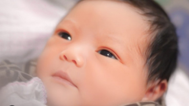 instagram/attahalilintar