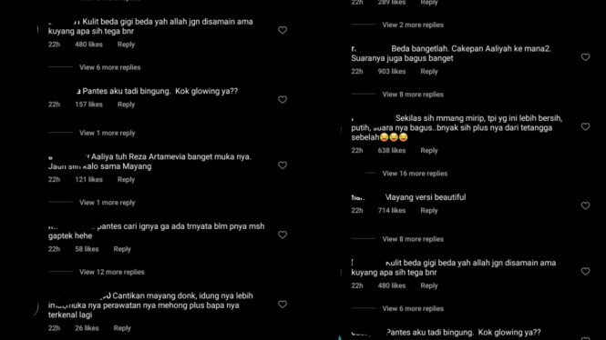 instagram/lambegosiip