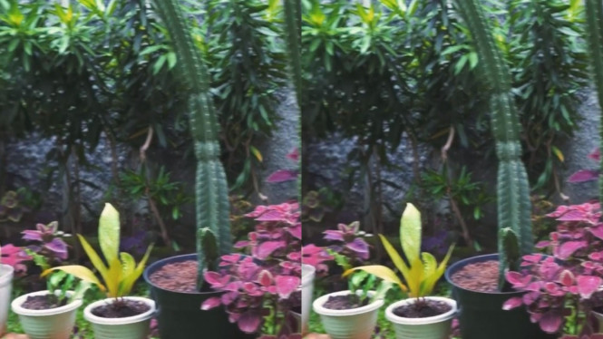 instagram/uusbiasaaja