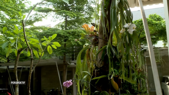 YouTube/perspektif metrotv