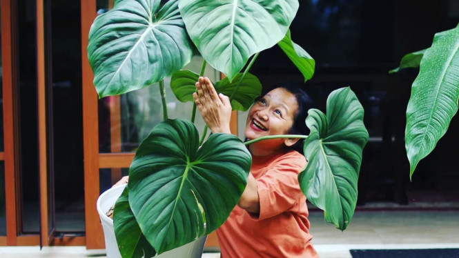 Instagram/chichakoeswoyo