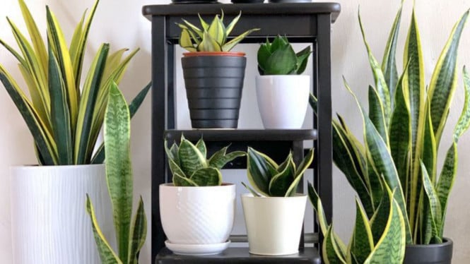 Pinterest/Kenny Song