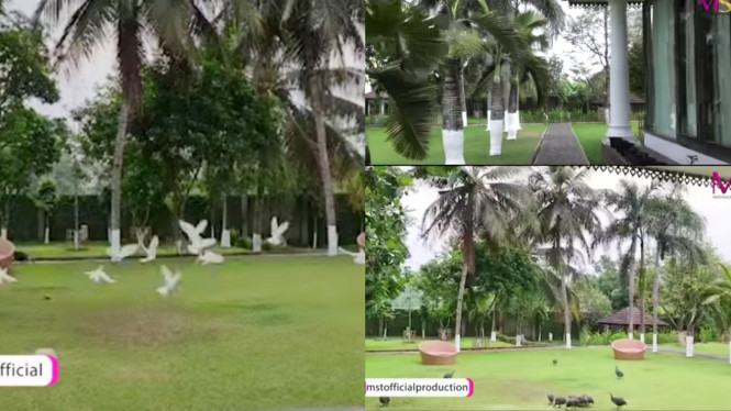 YouTube/MST PRODUCTION