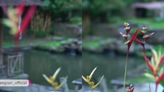 YouTube/MST PRODUCTION