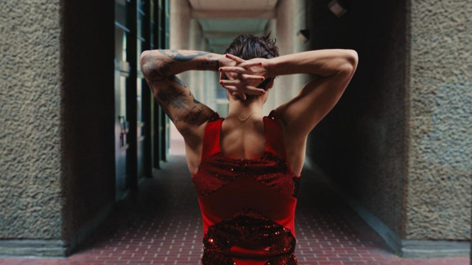 Instagram/harrystyles