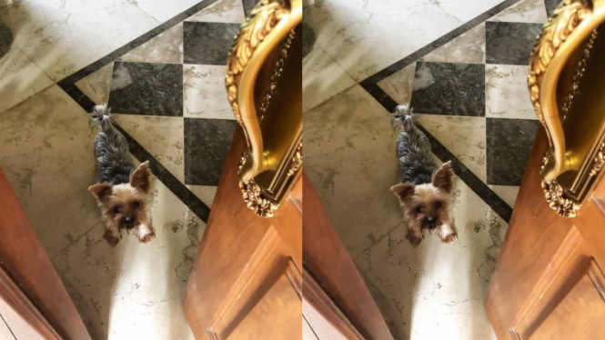 Instagram/feliciahutapeaaa