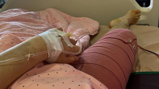 instagram/maitsa_chantika_koetin