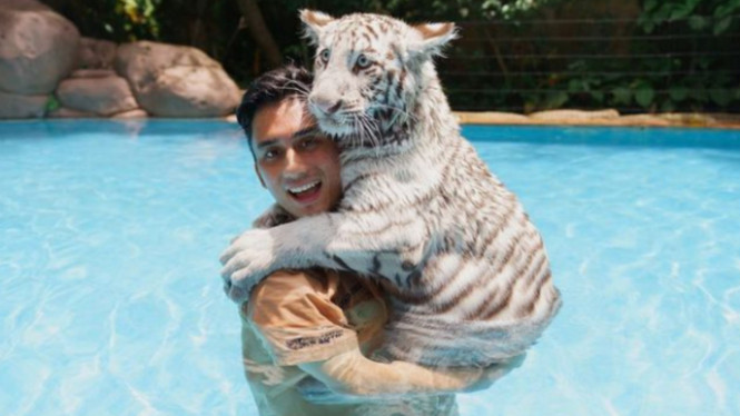 Instagram/@alshadahmad