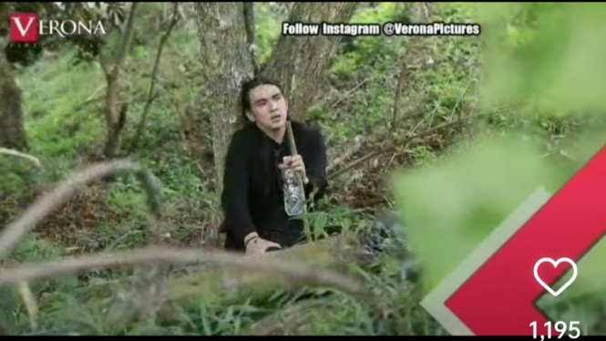 Instagram/veronapictures 