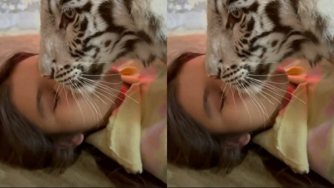 Instagram/tiaraandini