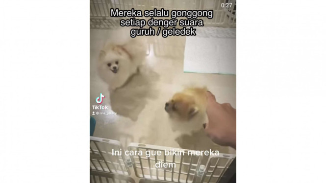 Instagram/@rinanose16