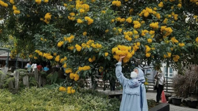 Instagram/farmhouselembang