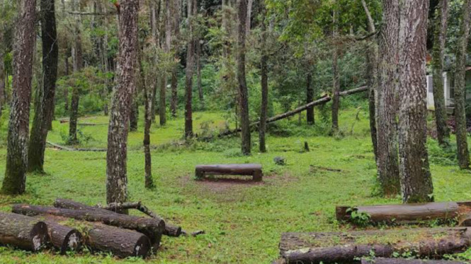 gmaps/ALDIONNAUFAL CANDRIKA