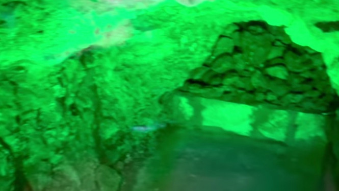 Instagram/bellasaphiraofficial