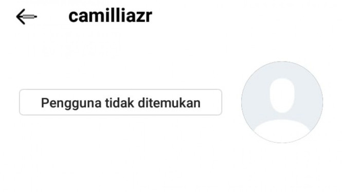 Instagram/camilliazr