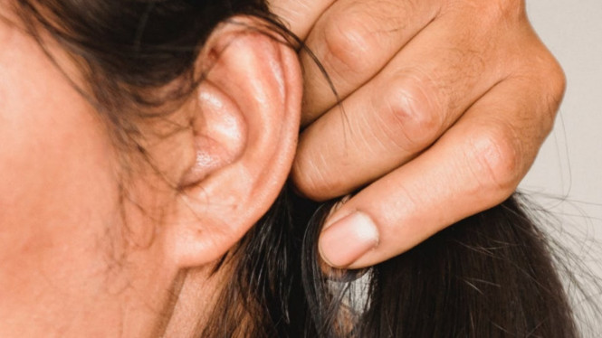 pexels/armin rimoldi