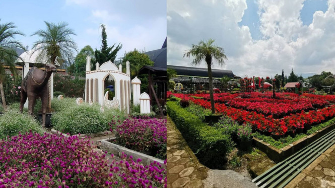 Instagram/@kebunbegonia