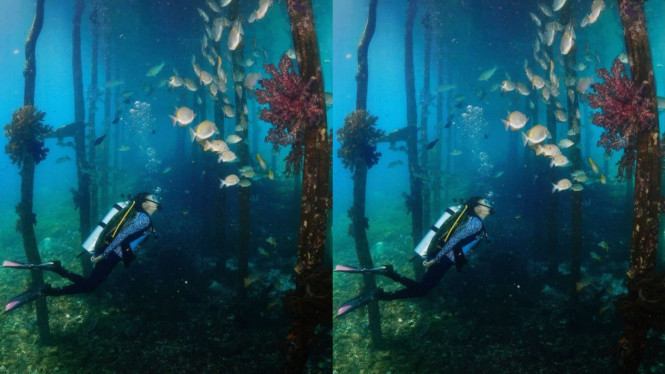 Instagram/nadinelist