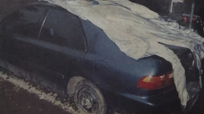 Instagram/ @nikeardilla_id