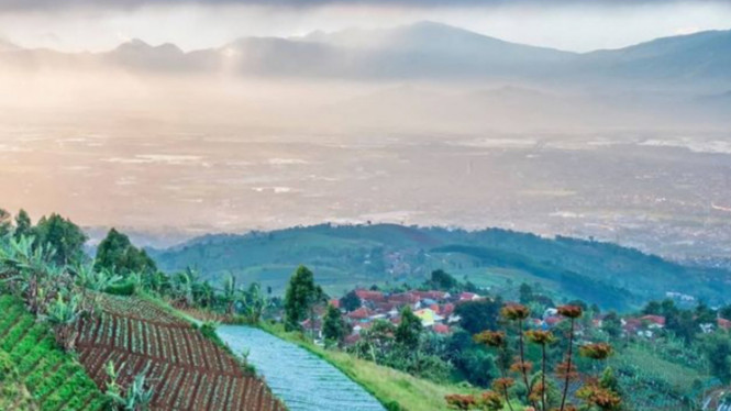 Instagram/@panorama.magz