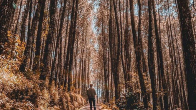 Instagram/@yosua_christhand