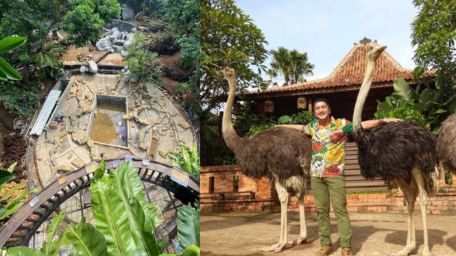 Instagram/@irfanhakim75