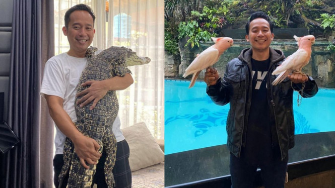 Instagram/@dennycagur