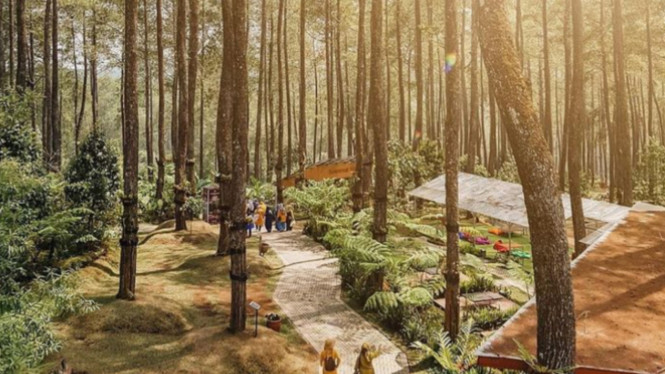 Instagram/@orchidforestcikole