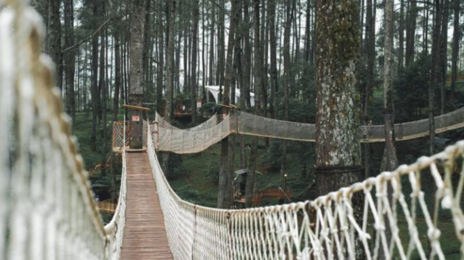 Instagram/@orchidforestcikole