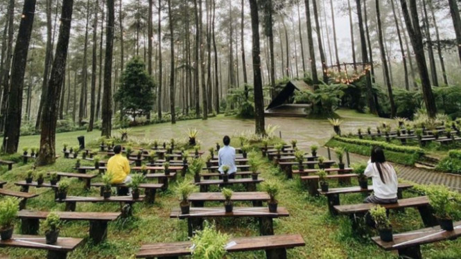 Instagram/@orchidforestcikole