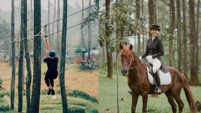 Instagram/@orchidforestcikole