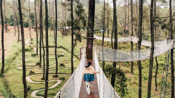 Instagram/@orchidforestcikole