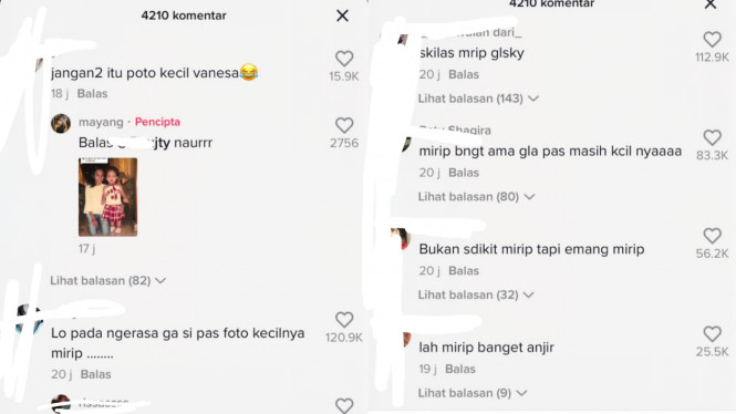 TikTok/mayang