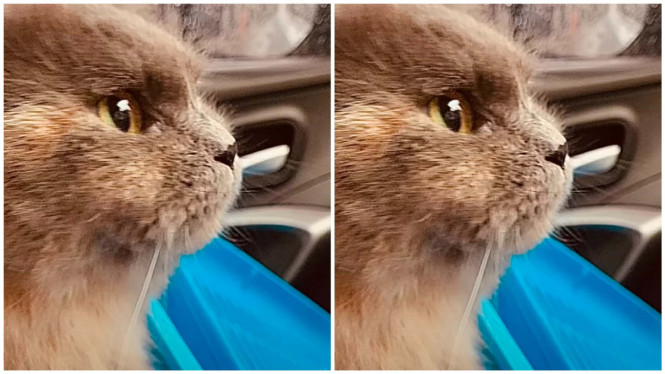 Instagram/ridwankamil