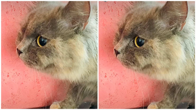 Instagram/ridwankamil