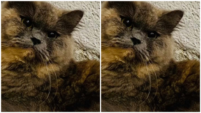 Instagram/ridwankamil